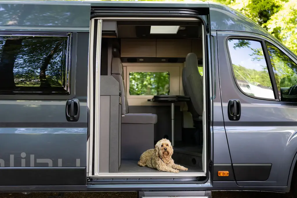 Ein Hund sitzt im Eingang eines Wohnmobils mit offener Tür und grauem Innenraum.