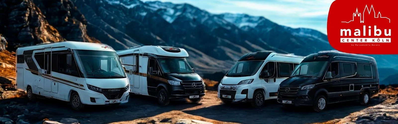 Vier verschiedene Wohnmobile in einer Berglandschaft mit Bergen im Hintergrund.